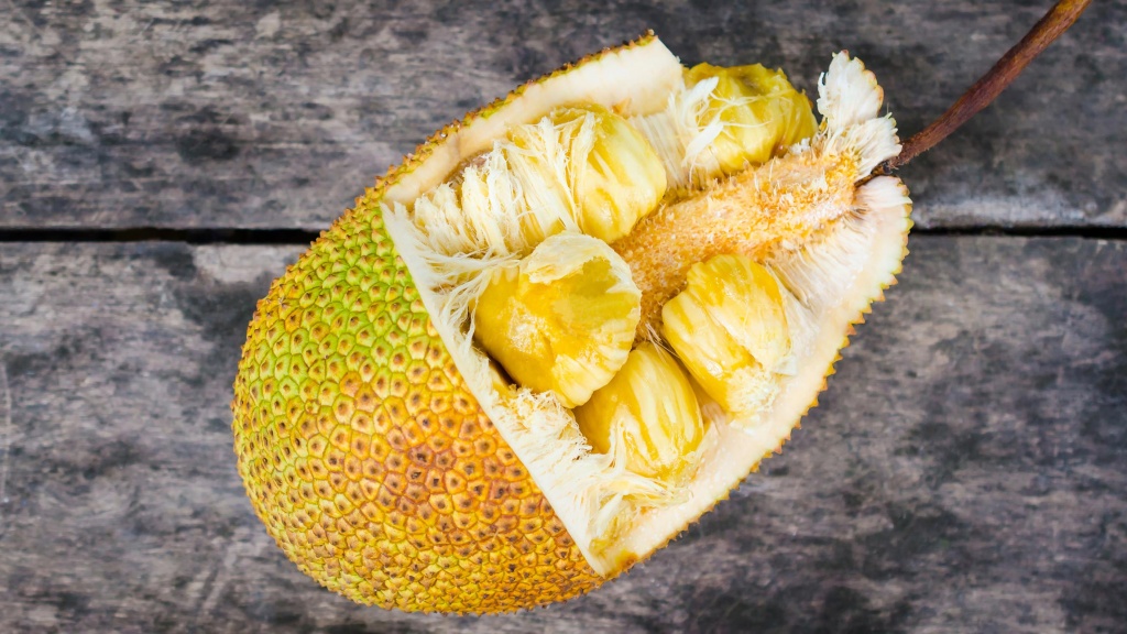 dzhekfruit.jpg