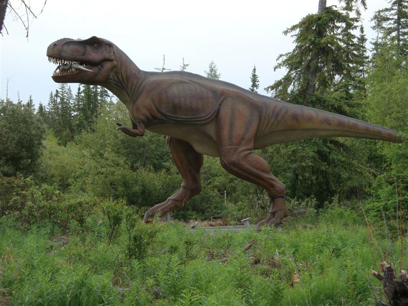 000dino1000-medium.jpg