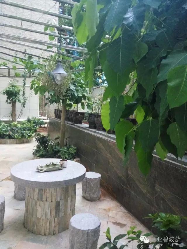 微信图片_20180629152010.jpg